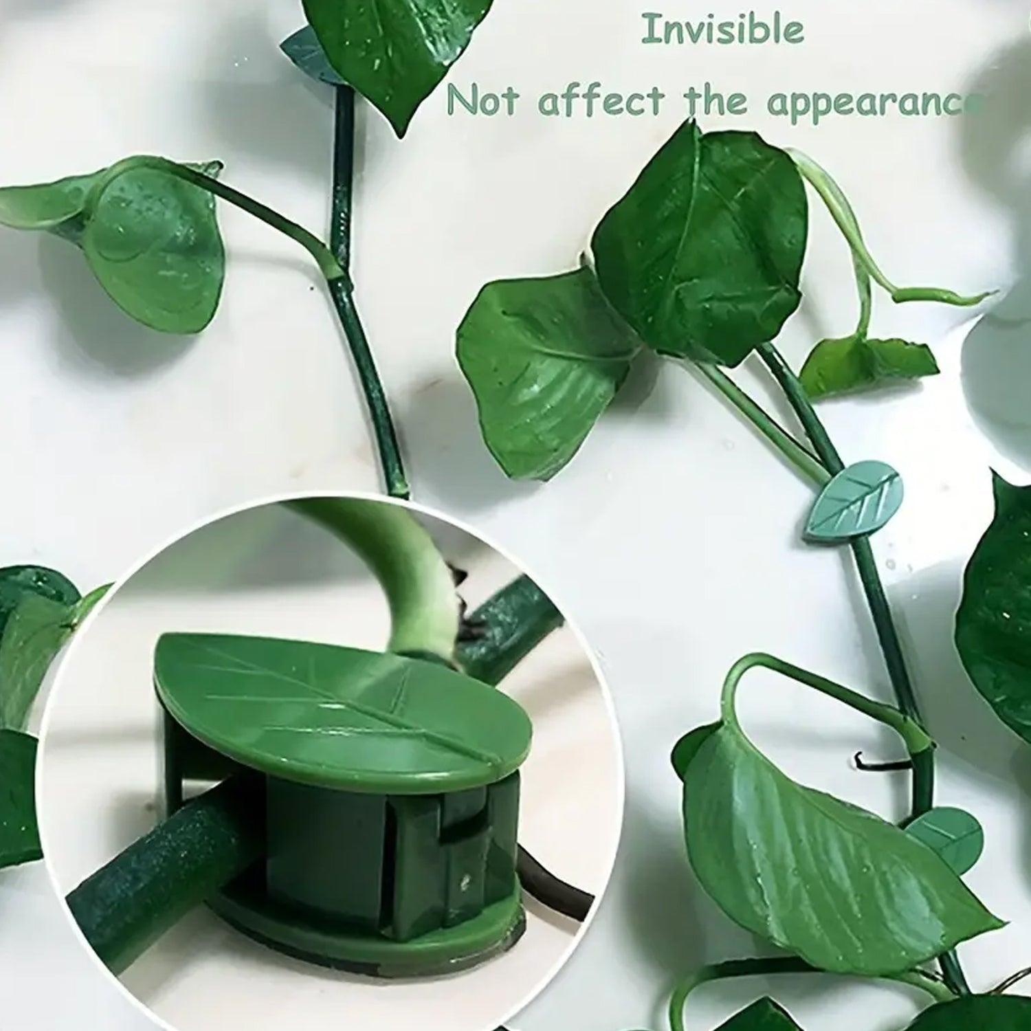 7348 Plant Climbing Wall Fixture Clip Self-Adhesive Hook Vines Traction Invisible Stand Green Plant Clip Garden Wall Clip Plant Support Binding Clip Plants for Indoor Outdoor Decoration (10 Pcs Set) 7348 Plant Climbing Wall Fixture Clip Self-Adhesive Hook Vines Traction Invisible Stand Green Plant Clip Garden Wall Clip Plant Support Binding Clip Plants for Indoor Outdoor Decoration (10 Pcs Set)